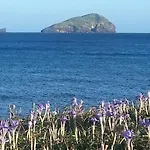 L'agave SantʼAntìoco