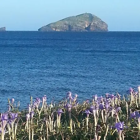 L'agave Sant'Antioco